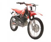 2006 UM DTF 150 photo